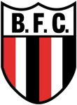 Botafogo SP Logo